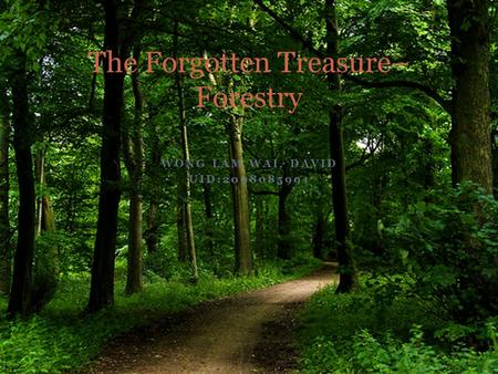 WONG LAM WAI, DAVID UID:2008085991 The Forgotten Treasure– Forestry.