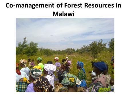 Co-management of Forest Resources in Malawi. High incidence of poverty and food insecurity: – Increasing demand for land and forest resources – High dependence.