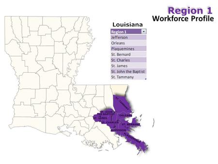 Workforce Profile. Industry Breakdown – Top 10 Industry Breakdown.