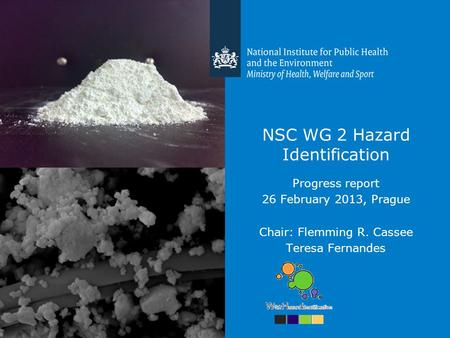 1 NSC WG 2 Hazard Identification Progress report 26 February 2013, Prague Chair: Flemming R. Cassee Teresa Fernandes.