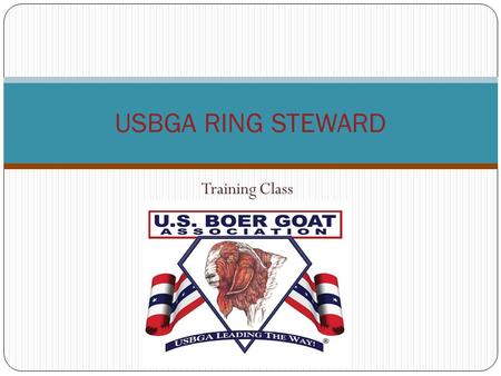 Training Class USBGA RING STEWARD. RING STEWARD (One of the most important jobs) The Ring Steward is the person who is the “glue” at the show. This person.