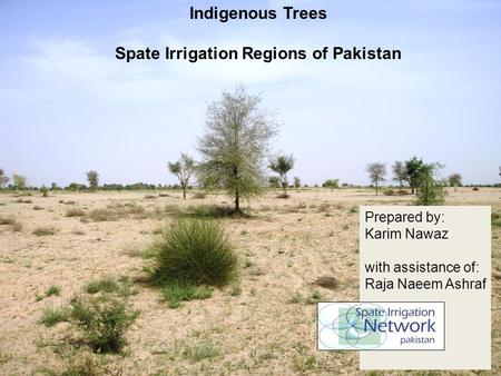 Indigenous Trees Spate Irrigation Regions of Pakistan Prepared by: Karim Nawaz with assistance of: Raja Naeem Ashraf.