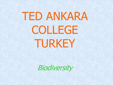 TED ANKARA COLLEGE TURKEY Biodiversity. CONTENTS: Biodiversity of plants in Turkey Biodiversity of plants in Turkey Biodiversity of animals in Turkey,