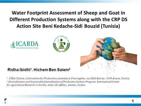 Water Footprint Assessment of Sheep and Goat in Different Production Systems along with the CRP DS Action Site Beni Kedache-Sidi Bouzid (Tunisia) Ridha.