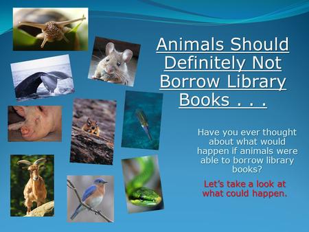 Have you ever thought about what would happen if animals were able to borrow library books? Let’s take a look at what could happen. Animals Should Definitely.