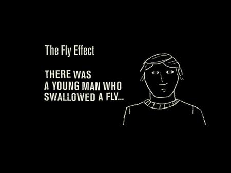 Why the fly? Horse Fly Bird Cat Dog Goat Cow Spider Fly Spider Bird Cat Dog Goat Cow Horse.