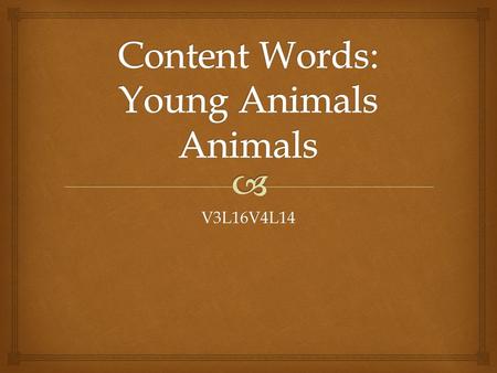 V3L16V4L14.   A young animal that eats meat (bear, lion, tiger) Cub.