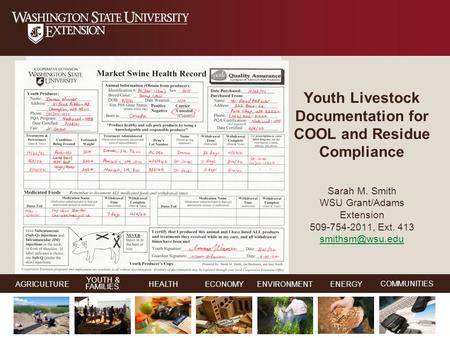 YOUTH & FAMILIES AGRICULTUREHEALTHECONOMYENVIRONMENTENERGY COMMUNITIES YOUTH & FAMILIES AGRICULTUREHEALTHECONOMYENVIRONMENTENERGY COMMUNITIES Youth Livestock.