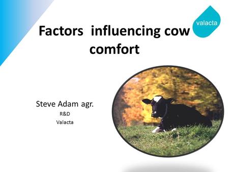 Factors influencing cow comfort Steve Adam agr. R&D Valacta.