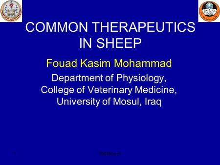 COMMON THERAPEUTICS IN SHEEP