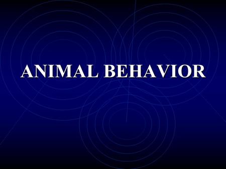 ANIMAL BEHAVIOR.