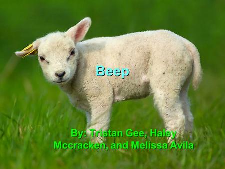 Beep By: Tristan Gee, Haley Mccracken, and Melissa Avila.