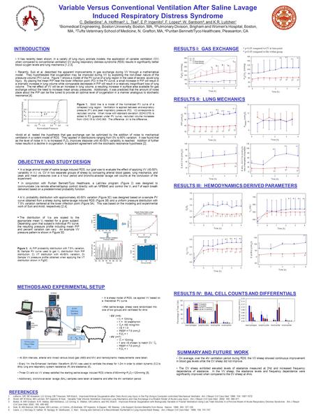 In a sheep model of RDS, we applied VV based on a theoretical PV curve. After saline-lavage, sheep were randomized into one of two groups and ventilated.