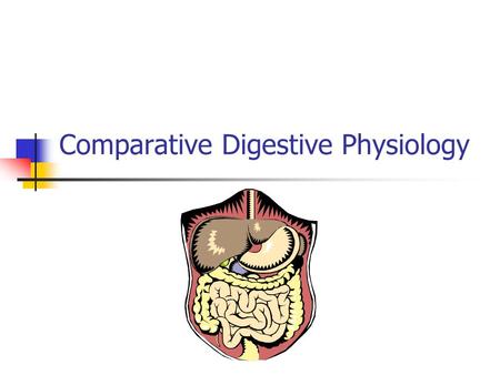 Comparative Digestive Physiology. Why Do Animals Digest? Food not ingested in suitable state Physical nature of food determined by: gathering apparatus.