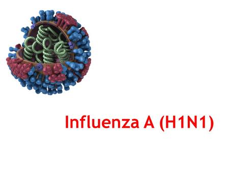 Influenza A (H1N1). Influenza A (H1N1) (Swine flu) Swine flu is a respiratory disease of pigs caused by Type A Influenza virus that causes regular outbreaks.