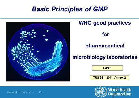 Basic Principles of GMP