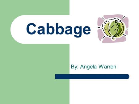 Cabbage By: Angela Warren. Cabbage History One of the most ancient vegetables Cabbage has been cultivated for more than 4,000 years and domesticated for.