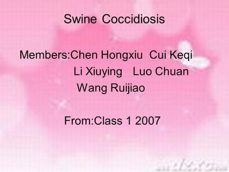 Swine Coccidiosis Members:Chen Hongxiu Cui Keqi Li Xiuying Luo Chuan Wang Ruijiao From:Class 1 2007.