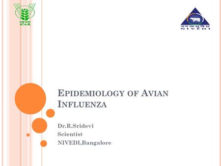 E PIDEMIOLOGY OF A VIAN I NFLUENZA Dr.R.Sridevi Scientist NIVEDI,Bangalore.