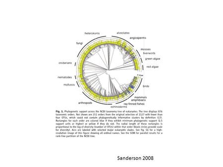 Sanderson 2008. The dN/dS ratio on each branch of the primate phylogeny (nonscaled branches) for the S opsin gene (above the branch) and the M/L opsin.