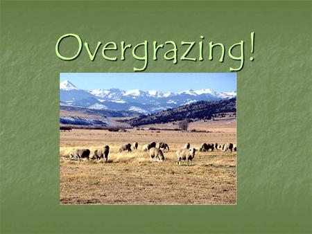 Overgrazing!.