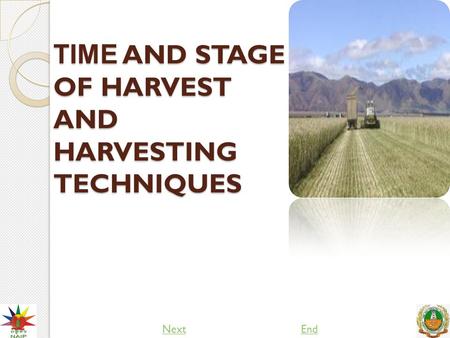 TIME AND STAGE OF HARVEST AND HARVESTING TECHNIQUES NextEnd.