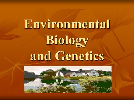 Environmental Biology and Genetics. Energy Flow Ecology – The study of living organisms in relation to their environment Ecology – The study of living.