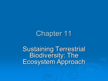 Sustaining Terrestrial Biodiversity: The Ecosystem Approach