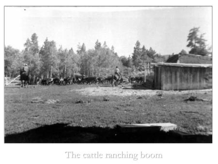 The cattle ranching boom. The Cattle Boom Reasons : The construction of the trans-continental railroad allowed for goods to be shipped across the country.