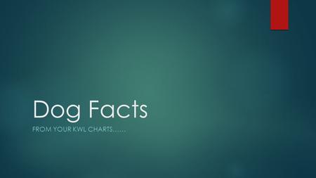 Dog Facts FROM YOUR KWL CHARTS……. A dog's mouth is cleaner than a human's mouth  The truth: A dog’s mouth is not “cleaner” than a person’s mouth. Dog.