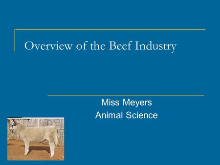 Overview of the Beef Industry