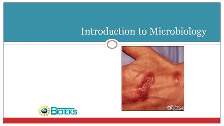 Introduction to Microbiology. Introduction Microbes are ubiquitous (everywhere) Friends & Enemies Of great importance to healthcare.