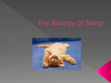  EEGs  Monitor brain waves  Wake people up in the midst of a sleep cycle or dream  Eugene Aserinsky – discovered REM sleep › Works with Nathaniel.