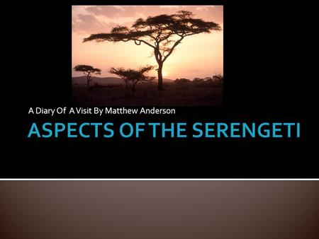 A Diary Of A Visit By Matthew Anderson.  The Serengeti is a National Park in Africa, a savanna ecosystem  The climate is hot and dry most of the year.