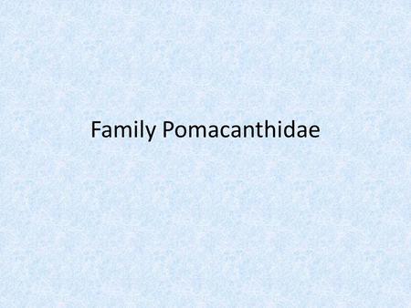 Family Pomacanthidae. Fish in Pomacanthidae Perciform fish (perch-like) Marine angelfishes.