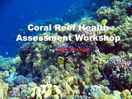 By A. Bittinger. Outline… Importance of Coral Reefs Diagnosis Identifying Problems Mitigation Measures Coral Reef Restoration.