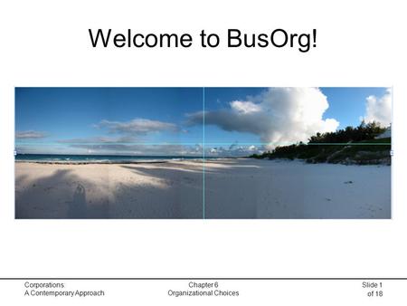 Welcome to BusOrg! Corporations: A Contemporary Approach Chapter 6 Organizational Choices Slide 1 of 18.