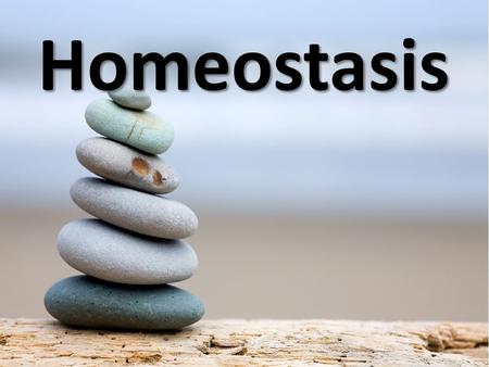 Homeostasis.