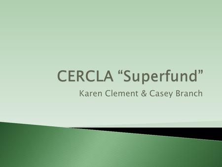 Karen Clement & Casey Branch.  Comprehensive Environment Response, Compensation, and Liability Act.  A fund to clean up abandoned and hazardous waste.