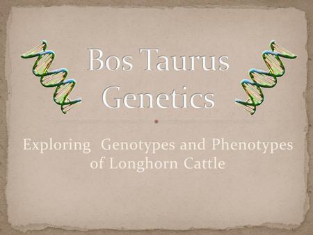 Exploring Genotypes and Phenotypes of Longhorn Cattle.