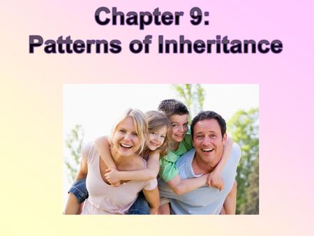 Fundamentals of Genetics I.Gregor Mendel – “ The Father of Genetics” A. History 1. he was a monk who tended a garden in the 1850’s 2. he was educated.