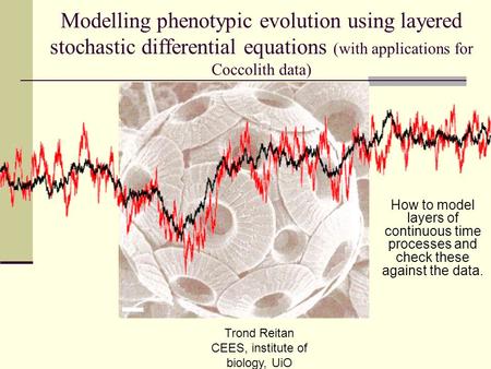 Modelling phenotypic evolution using layered stochastic differential equations (with applications for Coccolith data) How to model layers of continuous.