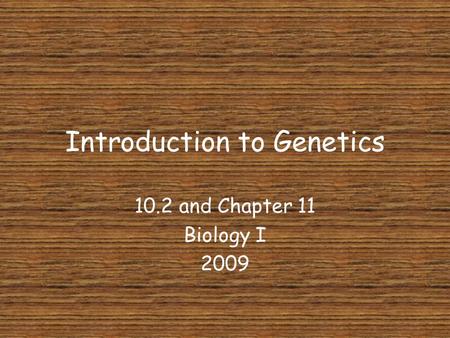 Introduction to Genetics