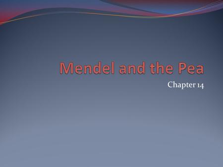 Chapter 14. Genetic Variation Heritable variations observed daily in populations Transmitted from parents to offspring ‘Blending hypothesis’ Genetic material.