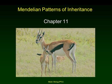 Mendelian Patterns of Inheritance