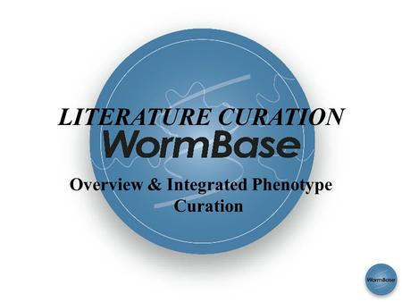 SAB 2008 LITERATURE CURATION Overview & Integrated Phenotype Curation.