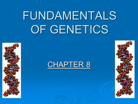 FUNDAMENTALS OF GENETICS