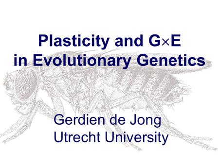 Plasticity and G  E in Evolutionary Genetics Gerdien de Jong Utrecht University.