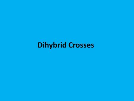 Dihybrid Crosses. A monohybrid cross involves only one trait. This is what we have been looking at so far. Ex. Only dimples, OR only tongue rolling ability.