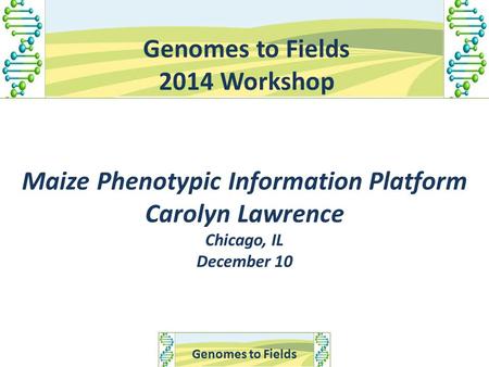 Genomes to Fields 2014 Workshop Maize Phenotypic Information Platform Carolyn Lawrence Chicago, IL December 10.